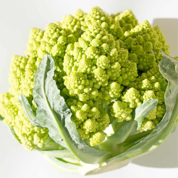 broccoli romanesco seed