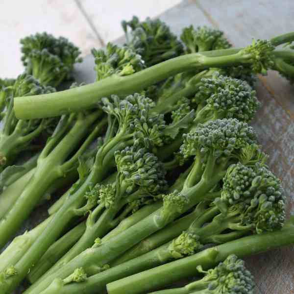 broccoli sprouting calabrese seeds 2