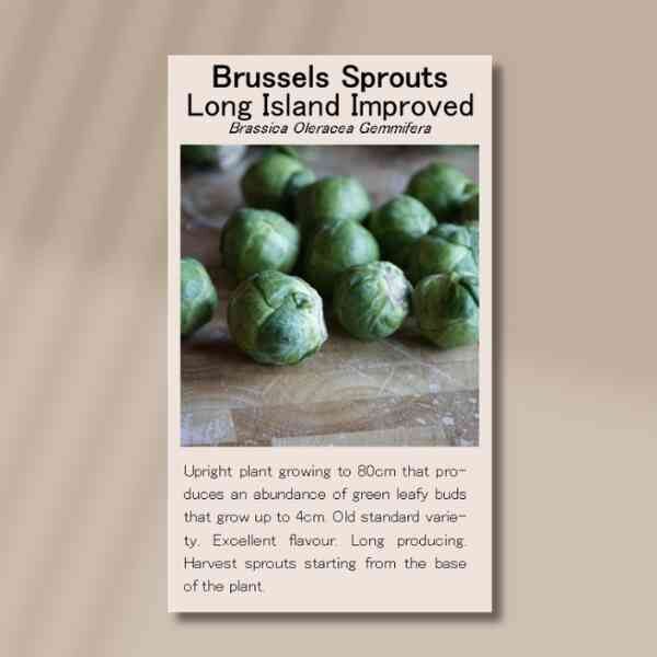 brussels-sprouts-long-island-improved-front brussels-sprouts-long-island-improved-front