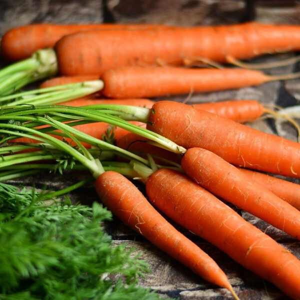 carrot-all-seasons-seeds carrot-all-seasons-seeds
