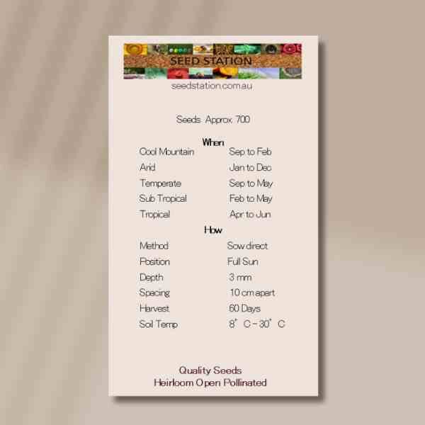 carrot-chantenay-back carrot-chantenay-back