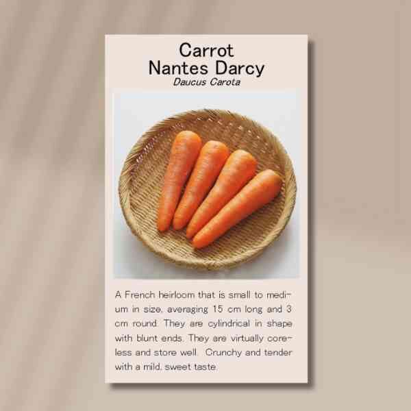 carrot-nantes-seeds-front carrot-nantes-seeds-front