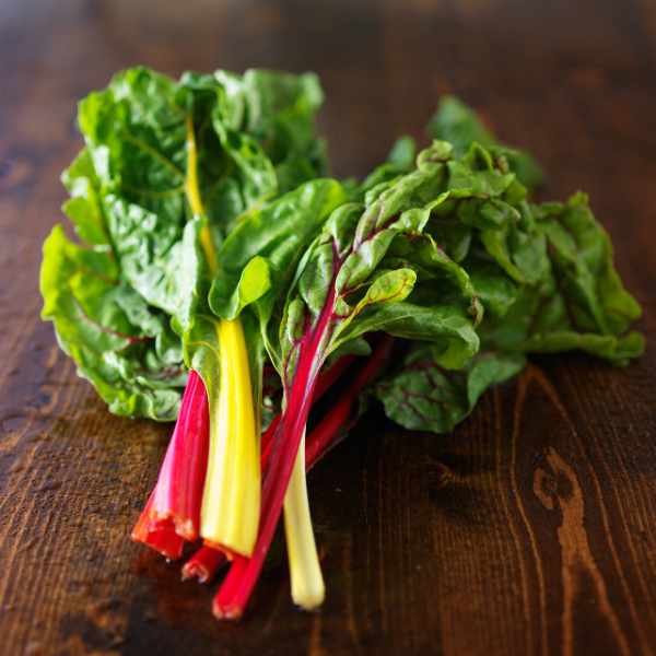 silverbeet rainbow chard seed 1