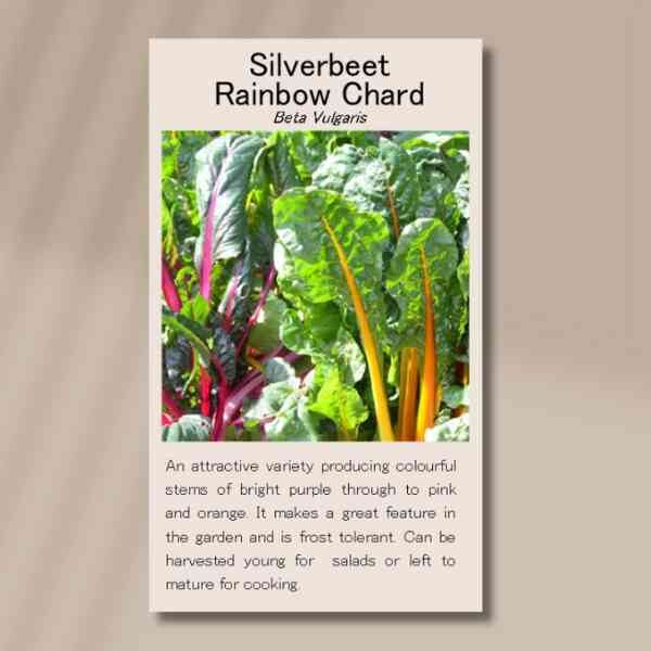 silverbeet-rainbow-chard-seed-packet-front silverbeet-rainbow-chard-seed-packet-front