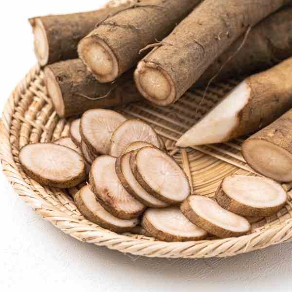 burdock-takinogawa-seeds burdock-takinogawa-seeds