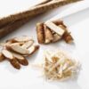 burdock-takinogawa-seeds=2