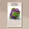 cauliflower-purple-Sicily-front