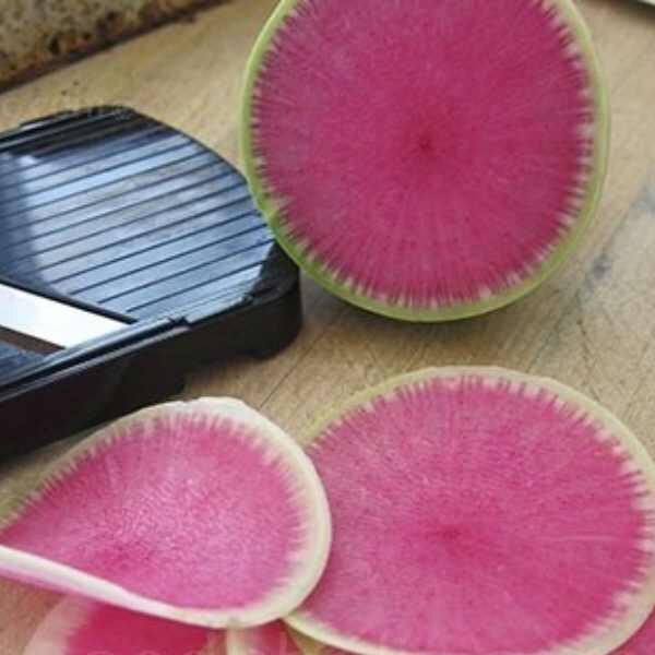radish-watermelon-sliced-seeds radish-watermelon-sliced-seeds