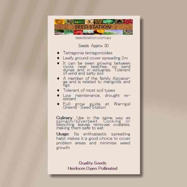 warrigal-greens-back warrigal-greens-back