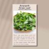 amaranth-green-front