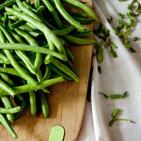 bean-blue-lake-seeds bean-blue-lake-seeds