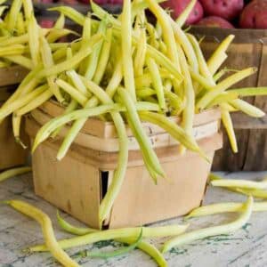Bean Cherokee Wax