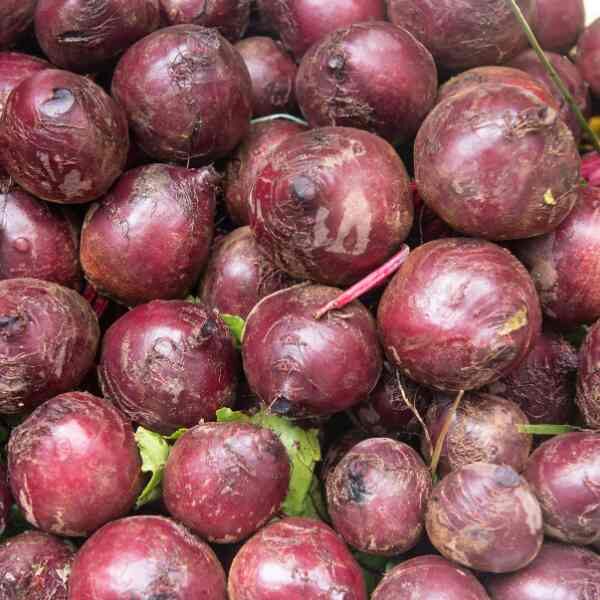 beetroot-detroit-seeds-3 beetroot-detroit-seeds-3