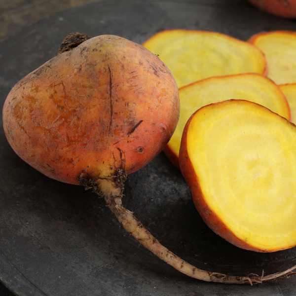 beetroot golden seeds
