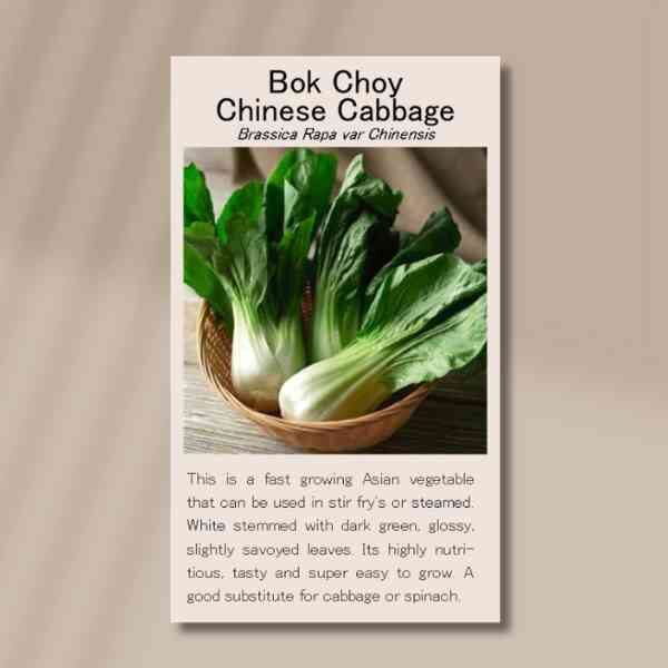 bok-choy-seeds-front bok-choy-seeds-front