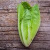 lettuce-cos-seeds