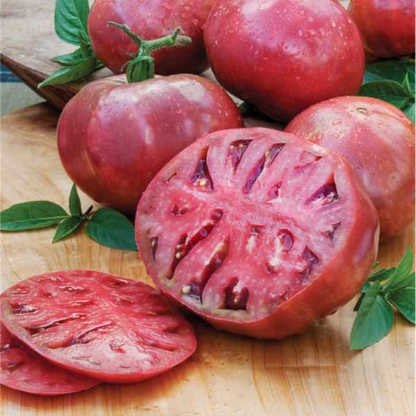 tomato-cherokee-purple-seeds tomato-cherokee-purple-seeds