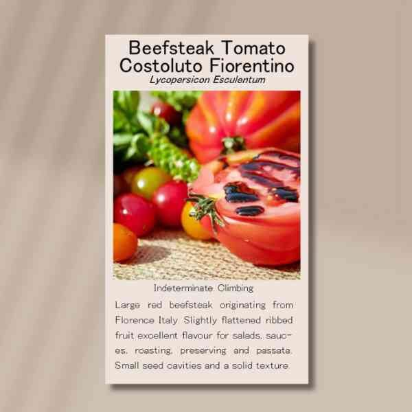 tomato-costoluto-fiorentino-front tomato-costoluto-fiorentino-front