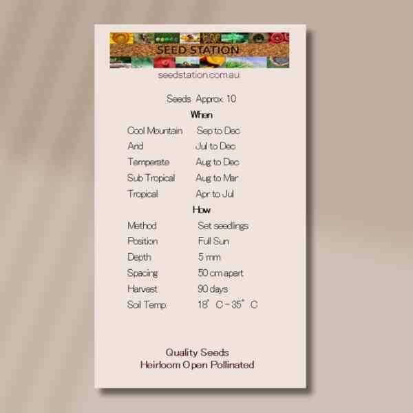 chilli-tepin-seed-packet-back chilli-tepin-seed-packet-back