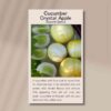 crystal-apple-front