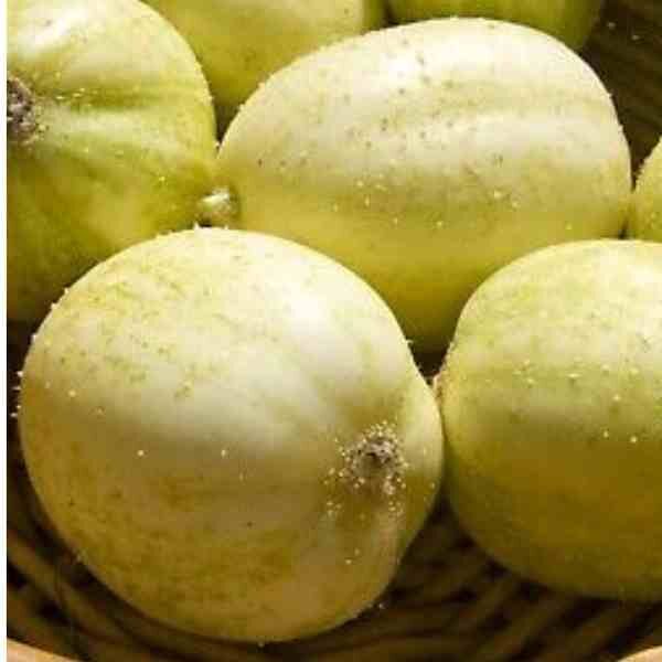 cucumber-crystal-apple-seeds-2 cucumber-crystal-apple-seeds-2