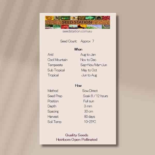 nasturtium-yeti-cream-back nasturtium-yeti-cream-back