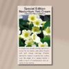 nasturtium-yeti-cream-front