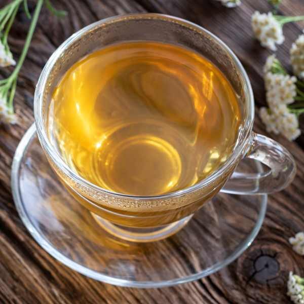 yarrow-seeds-3 yarrow-seeds-3