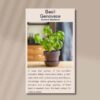 basil-genovese-front