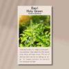 basil-holy-green--front