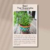 basil-thai-queenette-front