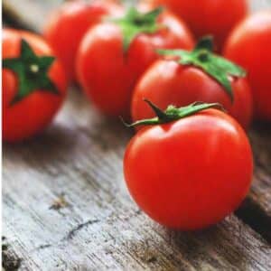 Tomato Camp Joy
