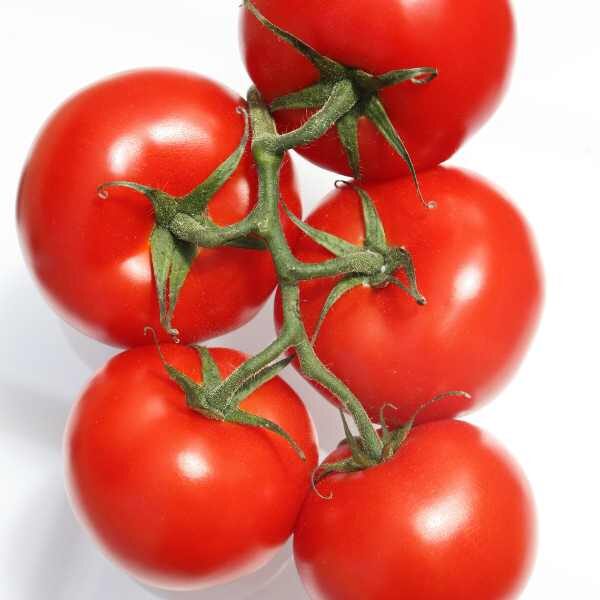 cherry-tomato-cerise-seed cherry-tomato-cerise-seed