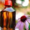 echinacea-seeds-3