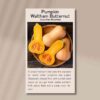 pumpkin-waltham-butternut-front