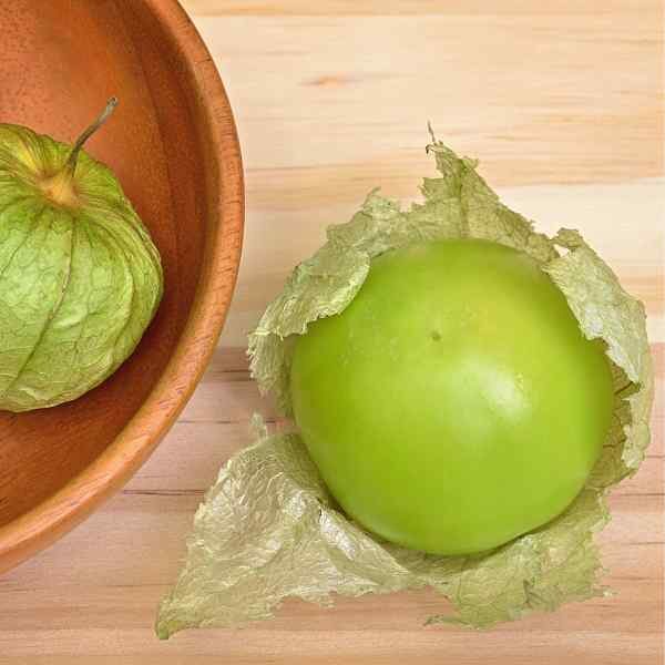 tomatillo-verde-puebla-seeds-2 tomatillo-verde-puebla-seeds-2