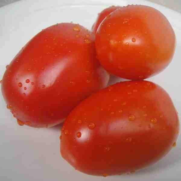 tomato-amish-paste-seeds-2 tomato-amish-paste-seeds-2