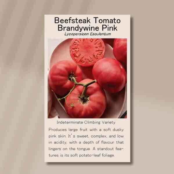 tomato-brandywine-pink-front tomato-brandywine-pink-front