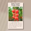 tomato-break-o-day=front