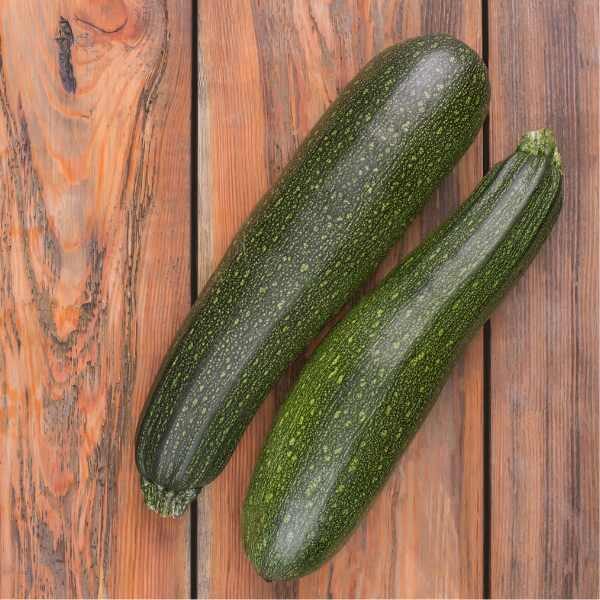 zucchini-black-beauty-seeds-3 zucchini-black-beauty-seeds-3