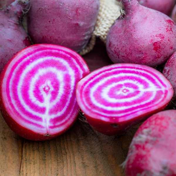 beetroot-chioggia-seed beetroot chioggia cut in half sitting on a chopping board