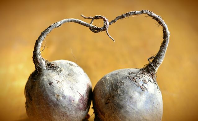 beetroot melbourne early slowbolt seeds