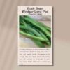 bush-bean-windsor-long-pod-front
