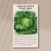 great-lakes-back