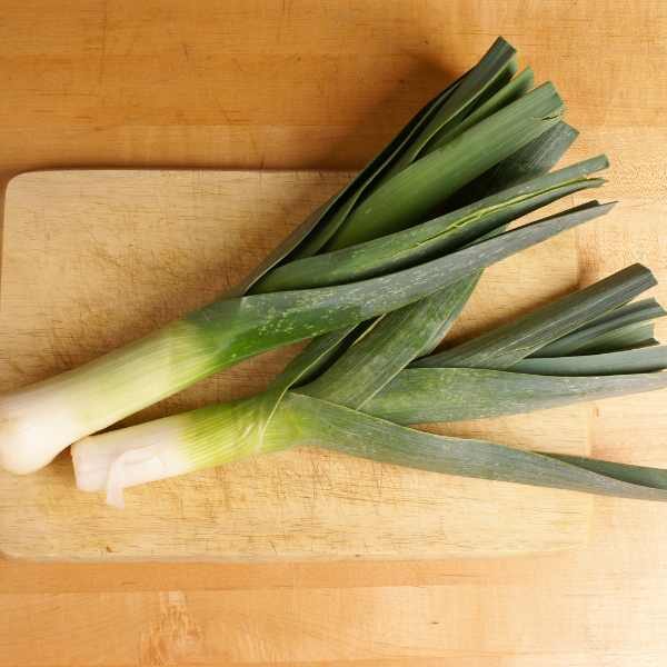 leek-carantan-seeds-2 leek-carantan-seeds-2
