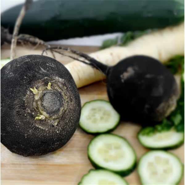 radish-black-spanish-round-seed radish-black-spanish-round-seed