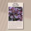 perilla-shiso-red-seeds-4