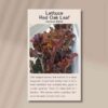 red-oakleaf-front
