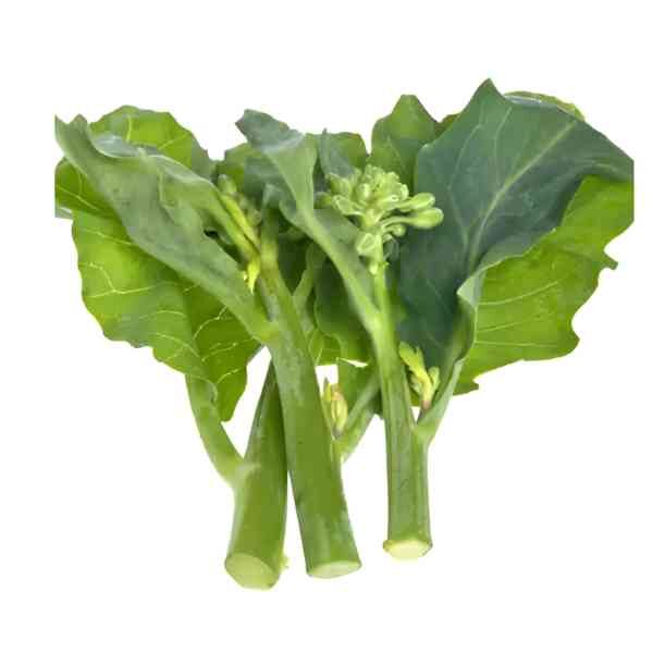 broccoli-kailaan-seeds-2 broccoli-kailaan-seeds-2