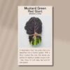 mustard-green-red-giant-seeds-front
